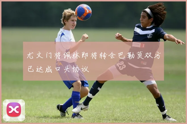 尤文门将佩林即将转会巴勒莫双方已达成口头协议
